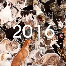 Calendario SOS Animalia 2016